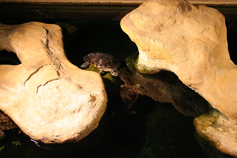 Killikus&reg; Fotographie